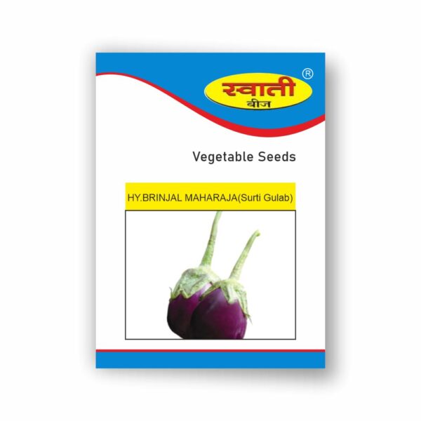 SWATI BRINJAL MAHARAJA (SHURTI GULABI) (10 GM)
