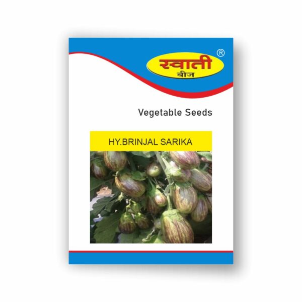 SWATI BRINJAL SHARIKA (10 GM)