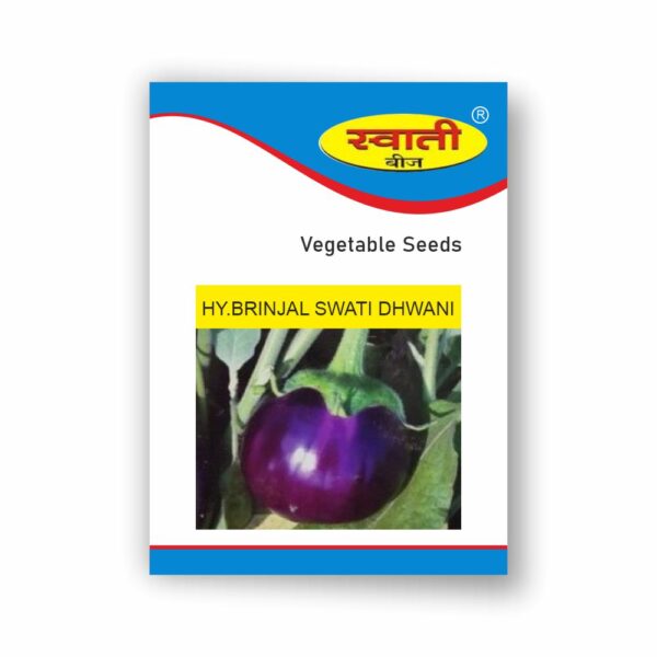 SWATI BRINJAL DHWANI (10 GM)