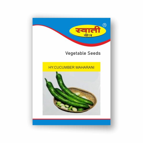SWATI CUCUMBER MAHARANI (50 GM)