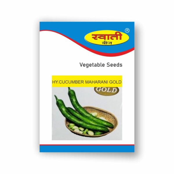 SWATI CUCUMBER MAHARANI GOLD (50 GM)