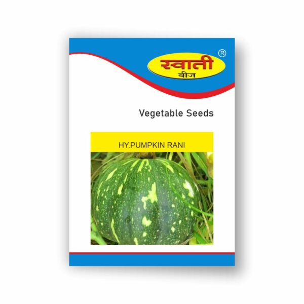 SWATI HY.PUMPKIN RANI (50 GM)