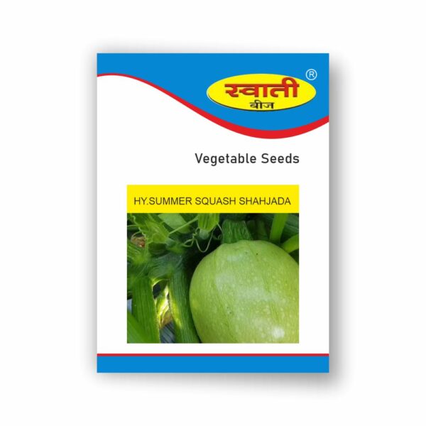 SWATI HY.SUMMER  SQUASH  SHAHJADA (50 GM)