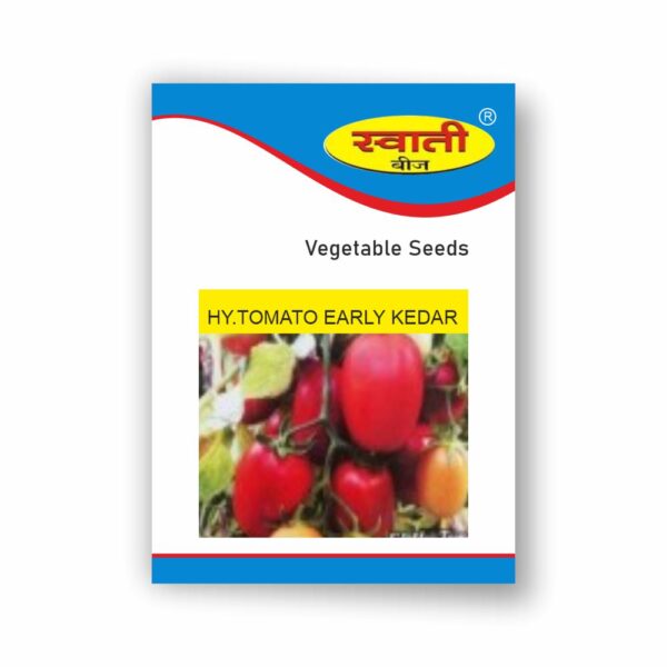 SWATI HY.TOMATO EARLY KEDAR (10 GM)