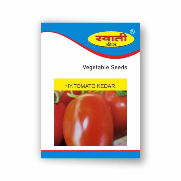 SWATI HY.TOMATO KEDAR (10 GM)