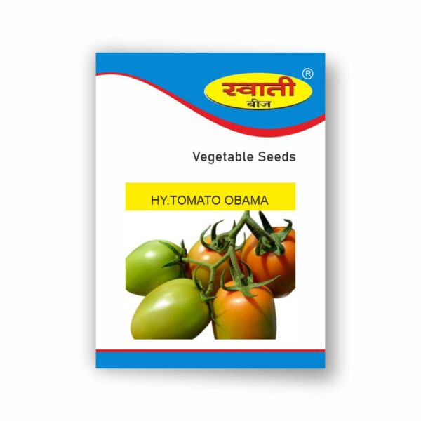 SWATI HY.TOMATO OBAMA (10 GM)