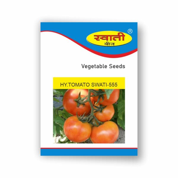 SWATI HY.TOMATO SWATI-555 (10 GM)