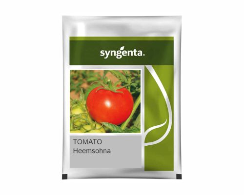 SYNGENTA TOMATO HEEMSOHNA (3500 SEEDS)