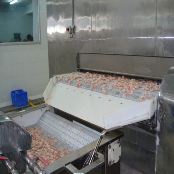 MECH-AIR Industrial Instant Quick Freezing Equipment