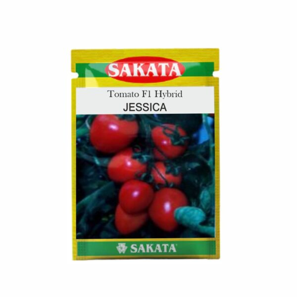 SAKATA TOMATO F1 JESSICA (5 GM) (POUCH)