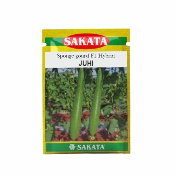 SAKATA SPONGE GOURD F1 JUHI (8701) (10 GM) (POUCH)