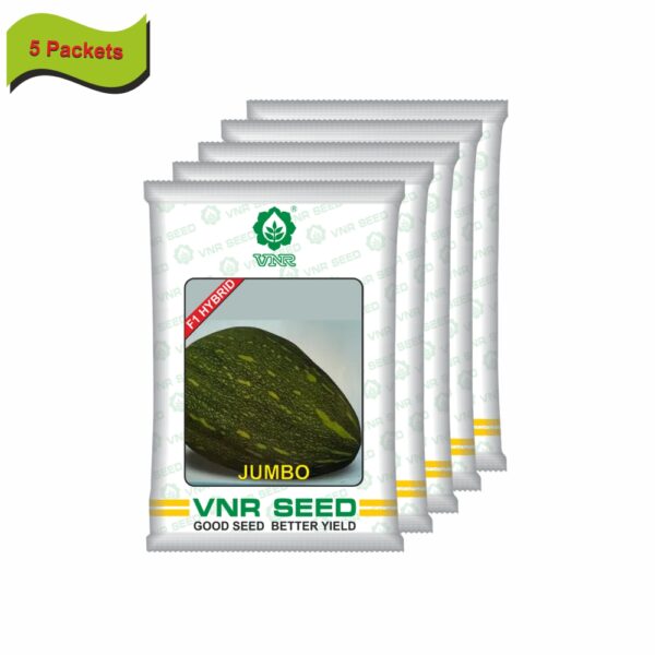 VNR Pumpkin hybrid jambo (10 gm) (5 packets) - Image 2