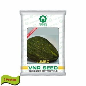 VNR Pumpkin hybrid jambo (10 gm) (5 packets)