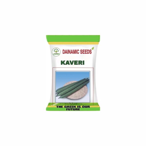 DAINAMIC RIDGE GOURD KAVERI (50 gm)
