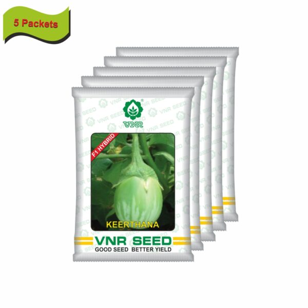 VNR Brinjal hybrid keerthana (10 GM) (5 packets) - Image 2