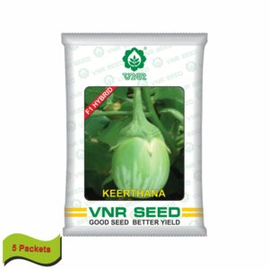 VNR Brinjal hybrid keerthana (10 GM) (5 packets)