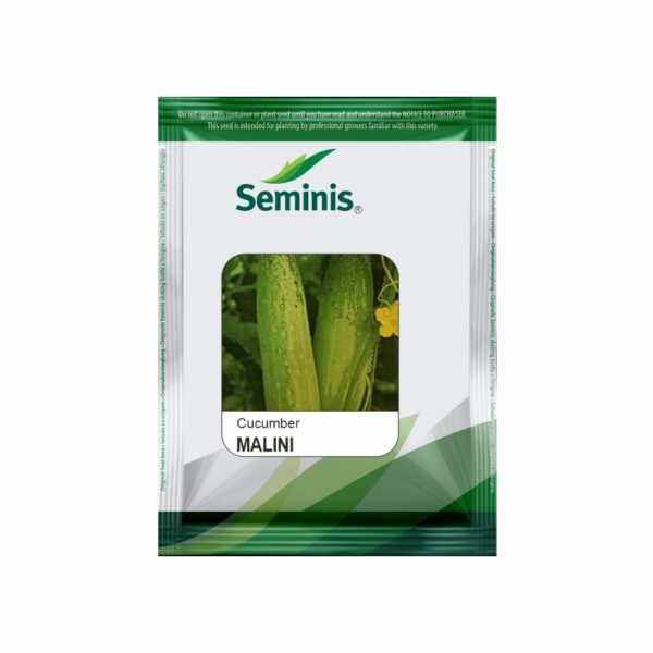 SEMINIS / MONSANTO KITCHEN GARDEN CUCUMBER MALINI (10 SEEDS)