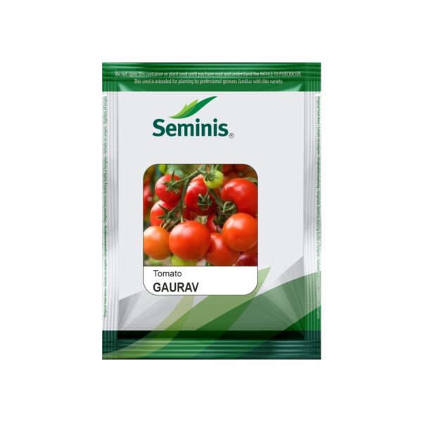SEMINIS / MONSANTO KITCHEN GARDEN TOMATO GARV (10 SEEDS)
