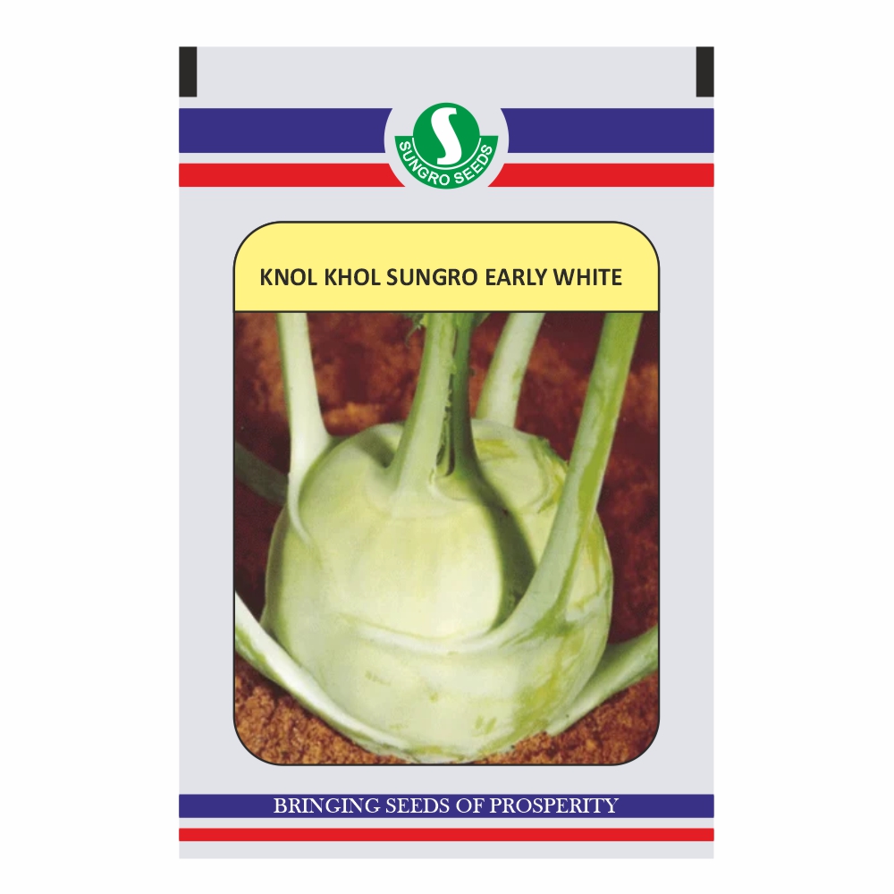 SANGRO KNOL-KHOL SEW(L) (250 GM)