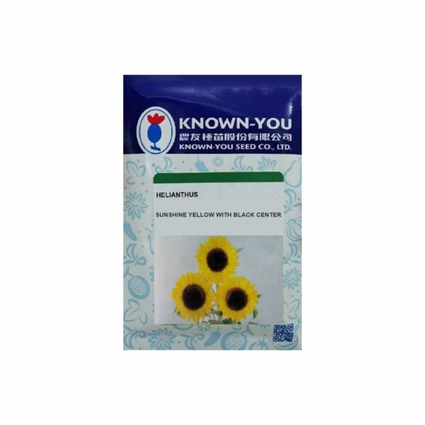 sunshine sunflower yellow with black center