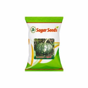 Sagar Karna(green) F-1 Hybrid Pumpkin Seeds (50 gm)