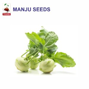 manju Khol Khol seeds (1 KG)(PACK OF 10)