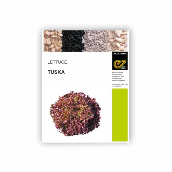 ENZA LETTUCE TUSKA (1000 SEEDS)