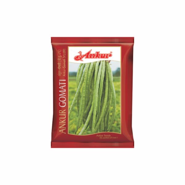 ANKUR LOBIA GOMATI (500GM)