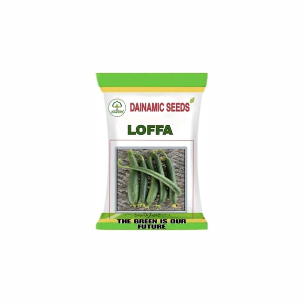DAINAMIC SPOUNG GOURD LOFFA (50 gm)