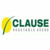 CLAUSE SEEDS