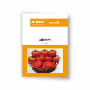 BASF Nunhems Tomato Lakshmi (3000 Seeds)