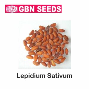 GBN lepidium sativum (Chandrashura) seeds (1 KG)(pack of 10)