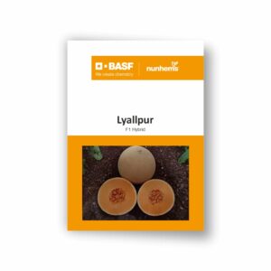 BASF Nunhems Muskmelon Lyallpur 257 (500 Seeds)