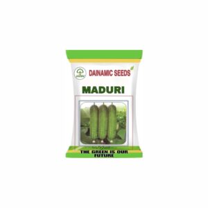 DAINAMIC CUCUMBER MADURI(GREEN) (50 gm)