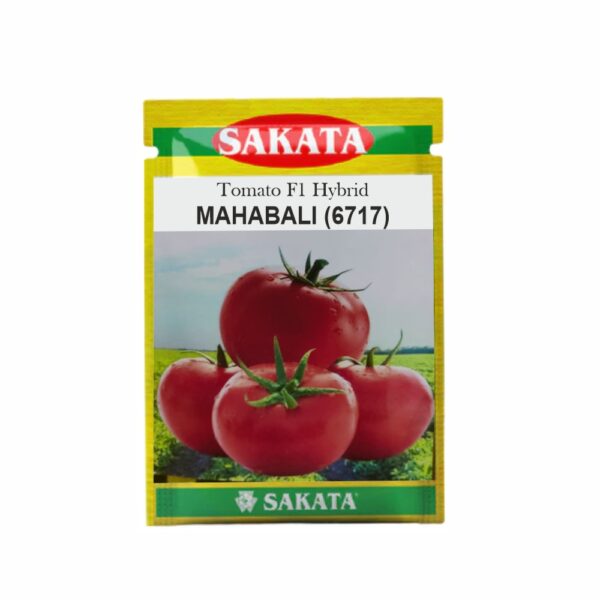 SAKATA TOMATO F1 MAHABALI (6717) (2 GM) (POUCH)