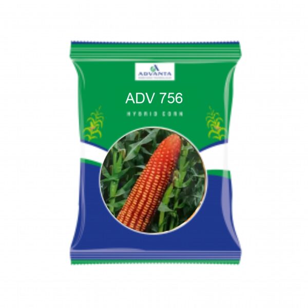 ADVANTA/upl MAIZE ADV 756 (4 KG)