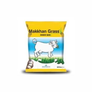 ADVANTA/UPL MAKKHAN GRASS (500 GM)