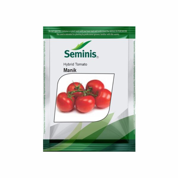 SEMINIS TOMATO Manik (3500 SEEDS)