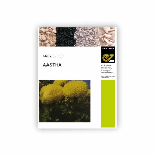 ENZA MARIGOLD AASTHA (10000 SEEDS)