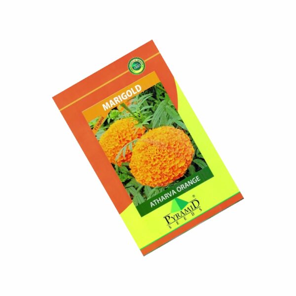 NAMDEO MARIGOLD ATHARVA ORANGE (1000 SEEDS)