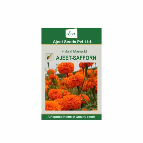 AJEET HYBRID MARIGOLD SAFFORN (ORANGE) (1000 SEED)(3.50 GM)