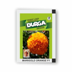 DURGA hybrid MARIGOLD ORANGE F1 (1000 seeds packing)
