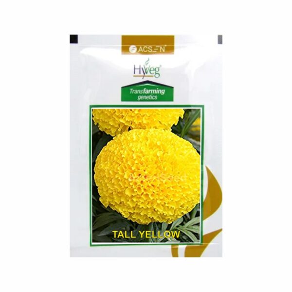 RASI-ACSEN HYVEG MARIGOLD TALL YELLOW (1000 SEEDS)