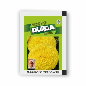 DURGA hybrid MARIGOLD YELLOW F1 (100 seeds packing)