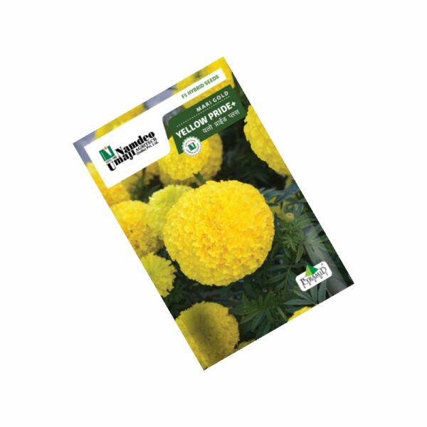 NAMDEO MARIGOLD YELLOW PRIDE PLUS (1000 SEEDS)