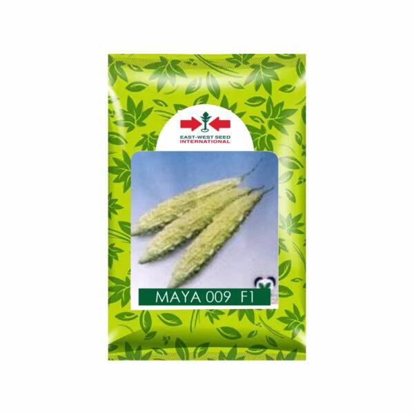 East West BITTER GOURD  – MAYA 009 F1 (50 GM)