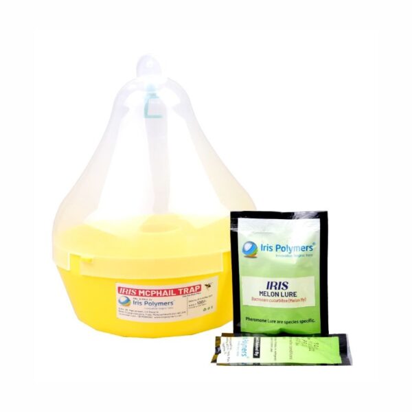 IRIS MACPHAIL TRAP - Image 3