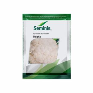 SEMINIS Cauliflower Megha (10 GM)