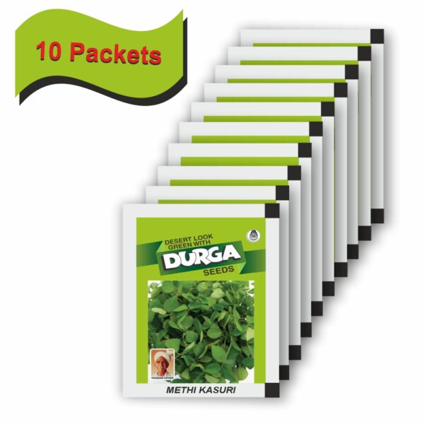 DURGA METHI KASURI (50 GM) (10 PACKETS) - Image 2