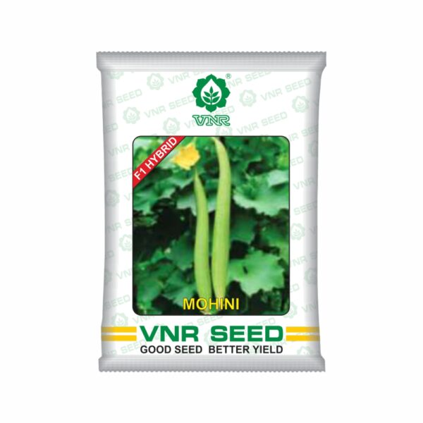 VNR Sponge Gourd Mohini Hybrid (50 GM)